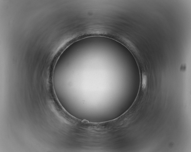 X0000113090627200909111028