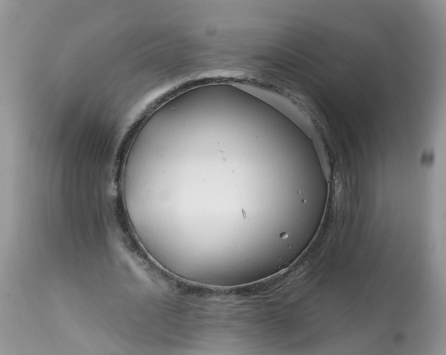 X0000113090628200909111028