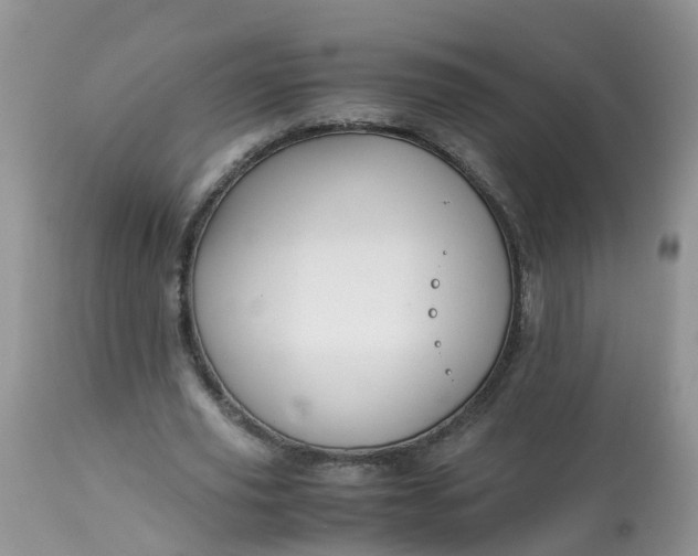 X0000113090629200909111028