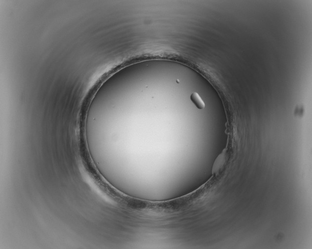 X0000113090630200909111028