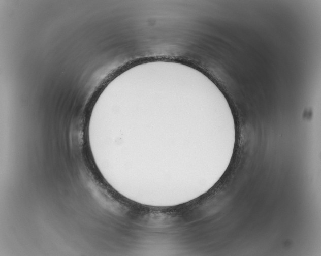 X0000113090632200909111028