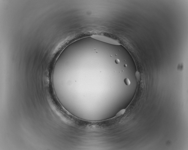 X0000113090634200909111028