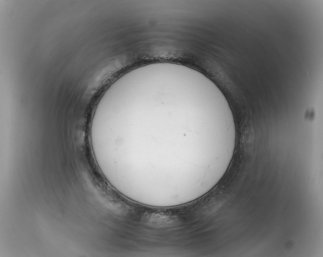 X0000113090635200909111028