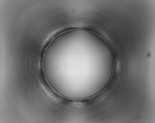 X0000113090636200909111028