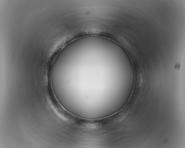 X0000113090638200909111028