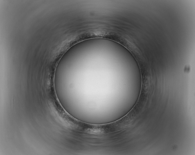X0000113090639200909111028