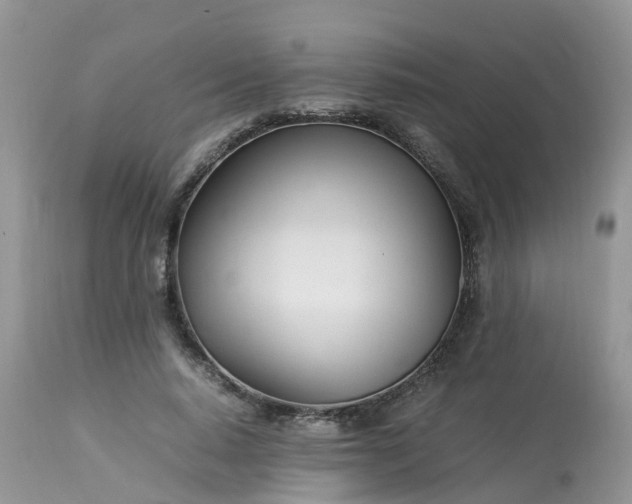 X0000113090640200909111028