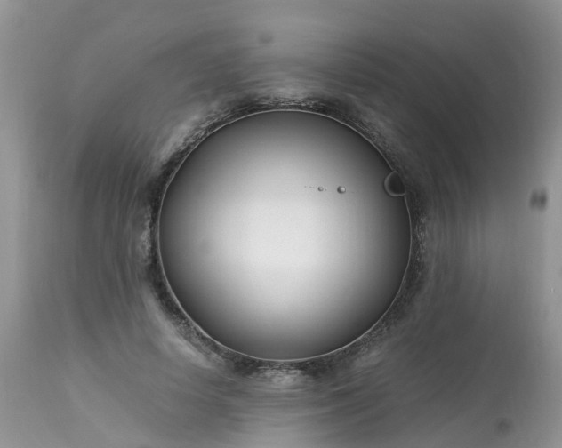 X0000113090642200909111028