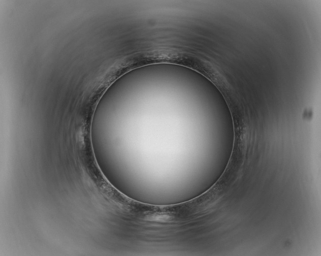 X0000113090643200909111028