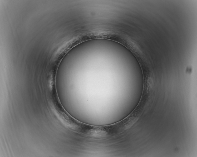 X0000113090644200909111028