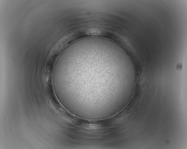 X0000113090645200909111028