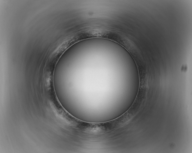 X0000113090646200909111028