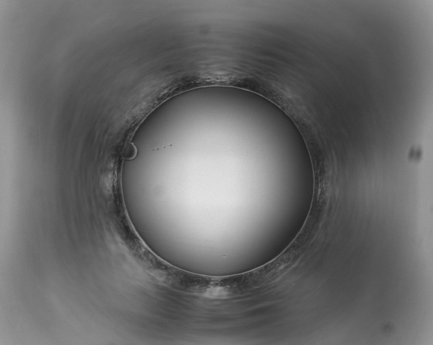 X0000113090647200909111028