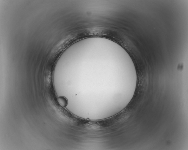 X0000113090648200909111028