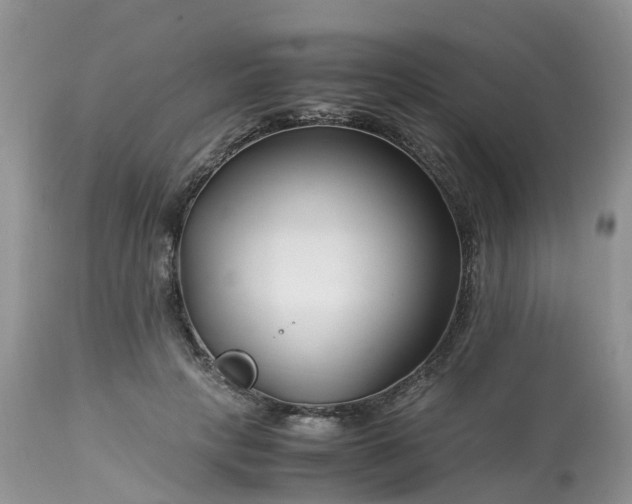X0000113090649200909111028