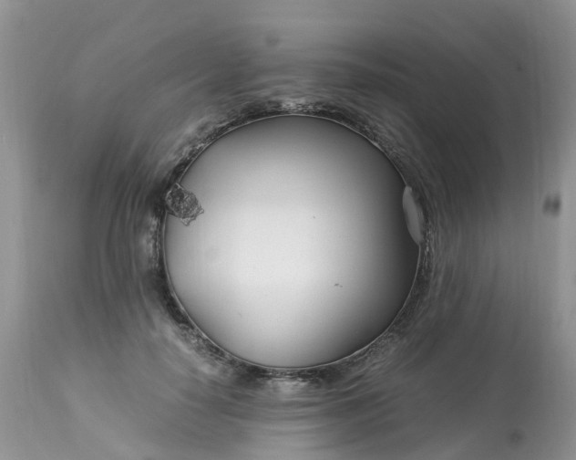 X0000113090650200909111028