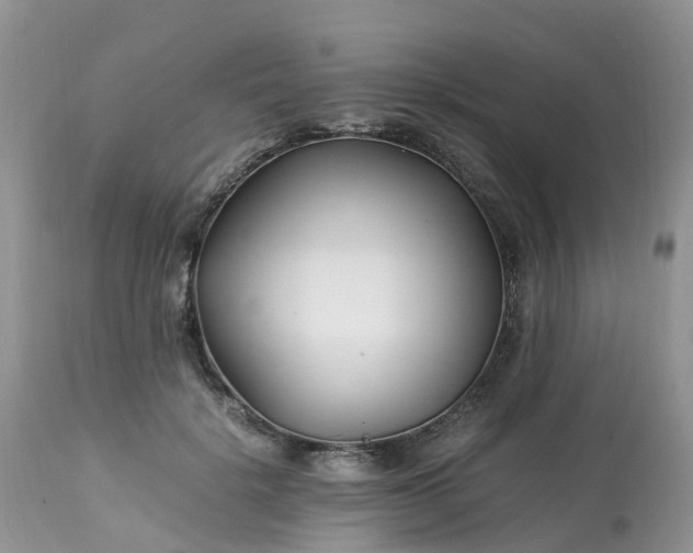 X0000113090652200909111028