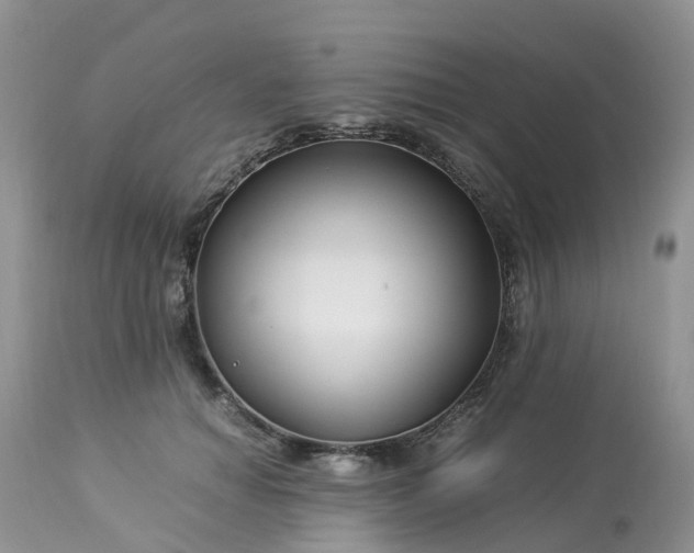 X0000113090654200909111028