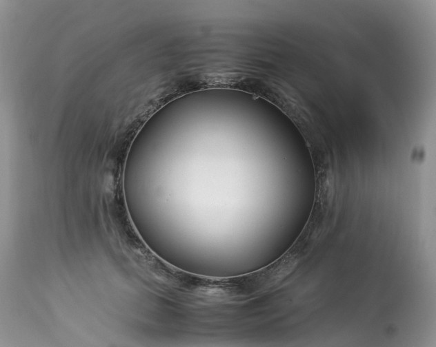 X0000113090655200909111028