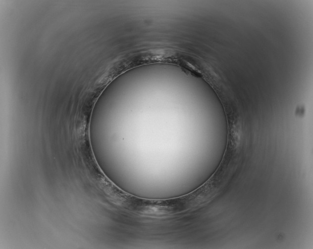 X0000113090657200909111028