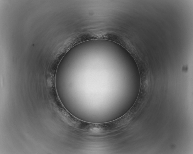 X0000113090658200909111028
