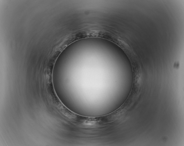 X0000113090661200909111028