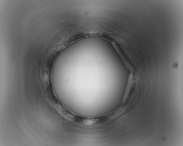 X0000113090662200909111028