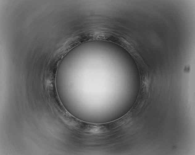 X0000113090663200909111028