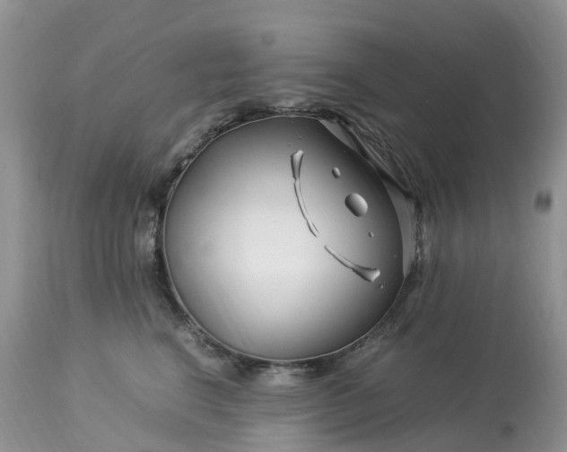 X0000113090664200909111028