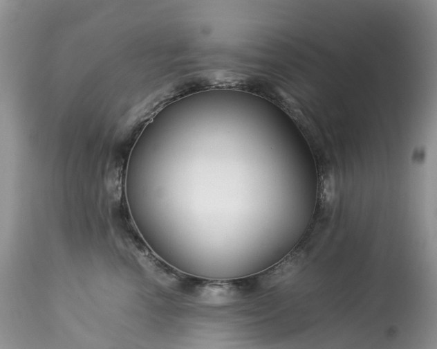 X0000113090666200909111029