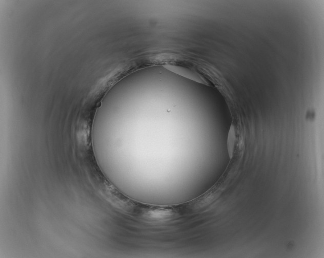 X0000113090669200909111029