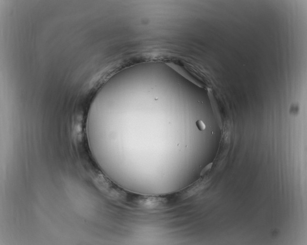 X0000113090670200909111029
