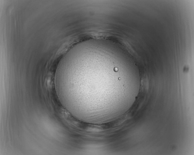 X0000113090671200909111029