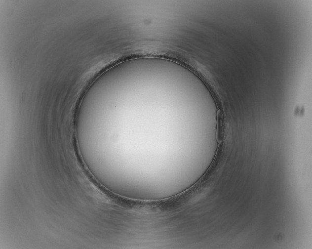 X0000113090673200909111028