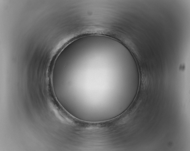 X0000113090674200909111028