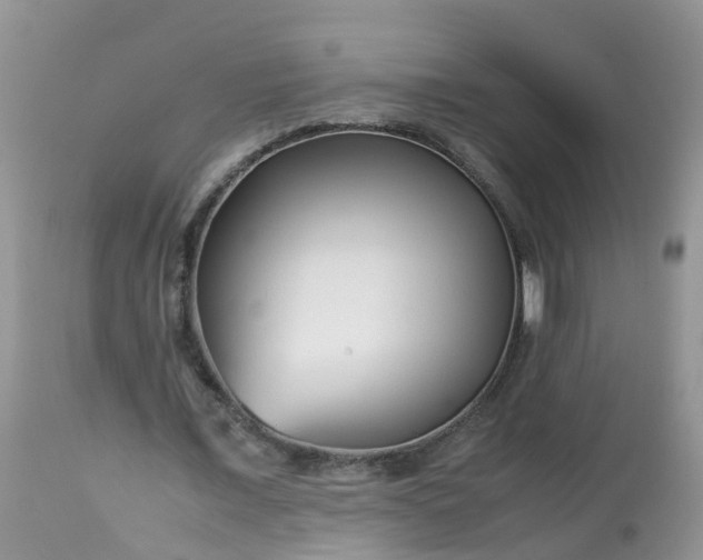 X0000113090675200909111028