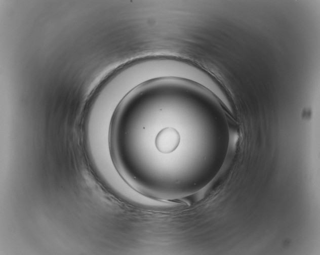 X0000113090676200909111028