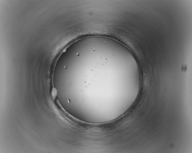 X0000113090677200909111028