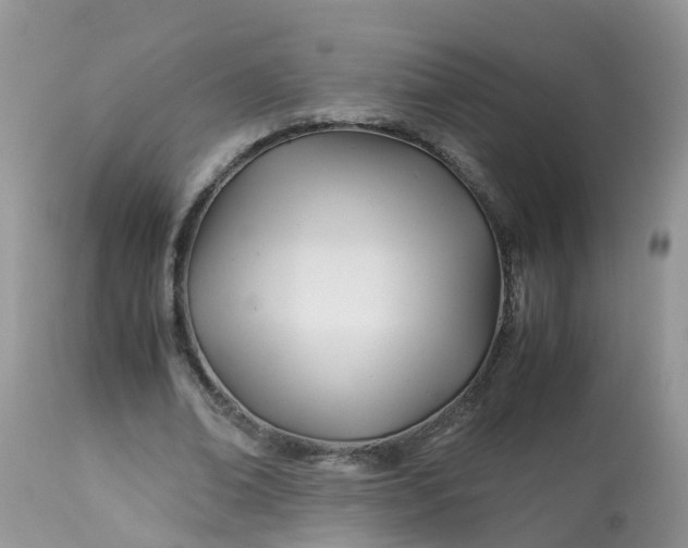 X0000113090678200909111028