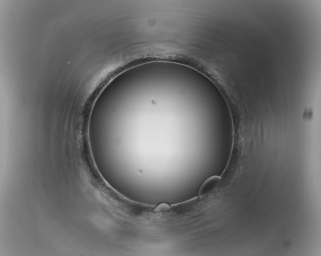 X0000113090679200909111028