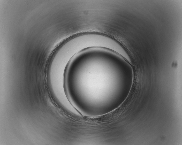 X0000113090680200909111028
