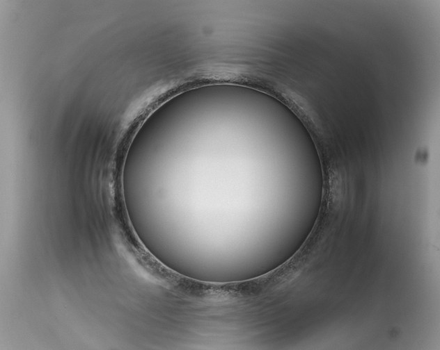 X0000113090682200909111028