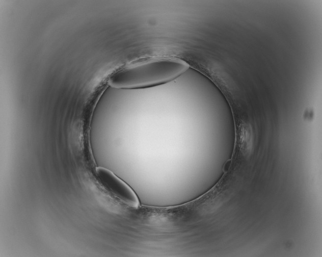 X0000113090684200909111028