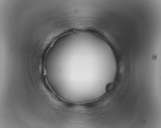 X0000113090685200909111028