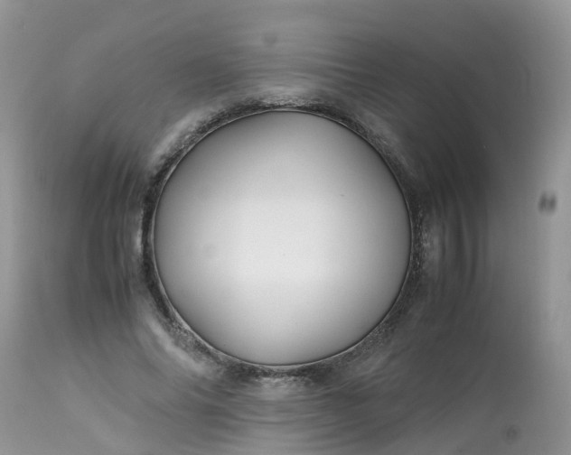 X0000113090686200909111028