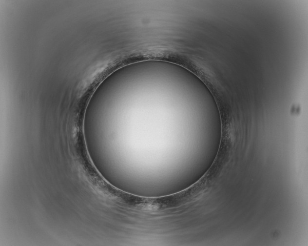X0000113090687200909111028