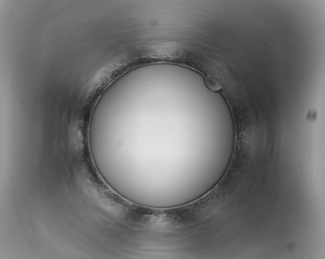 X0000113090688200909111028