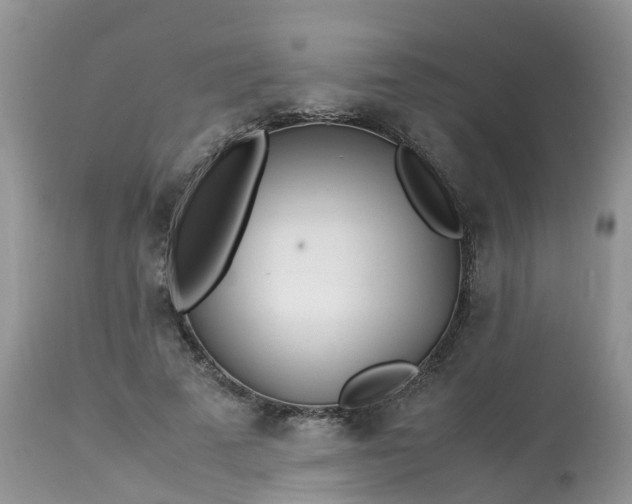 X0000113090689200909111028