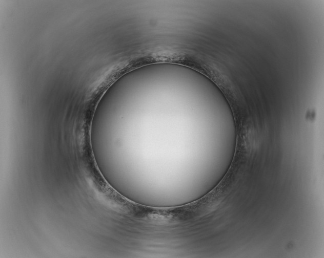 X0000113090690200909111028