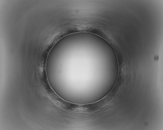 X0000113090691200909111028